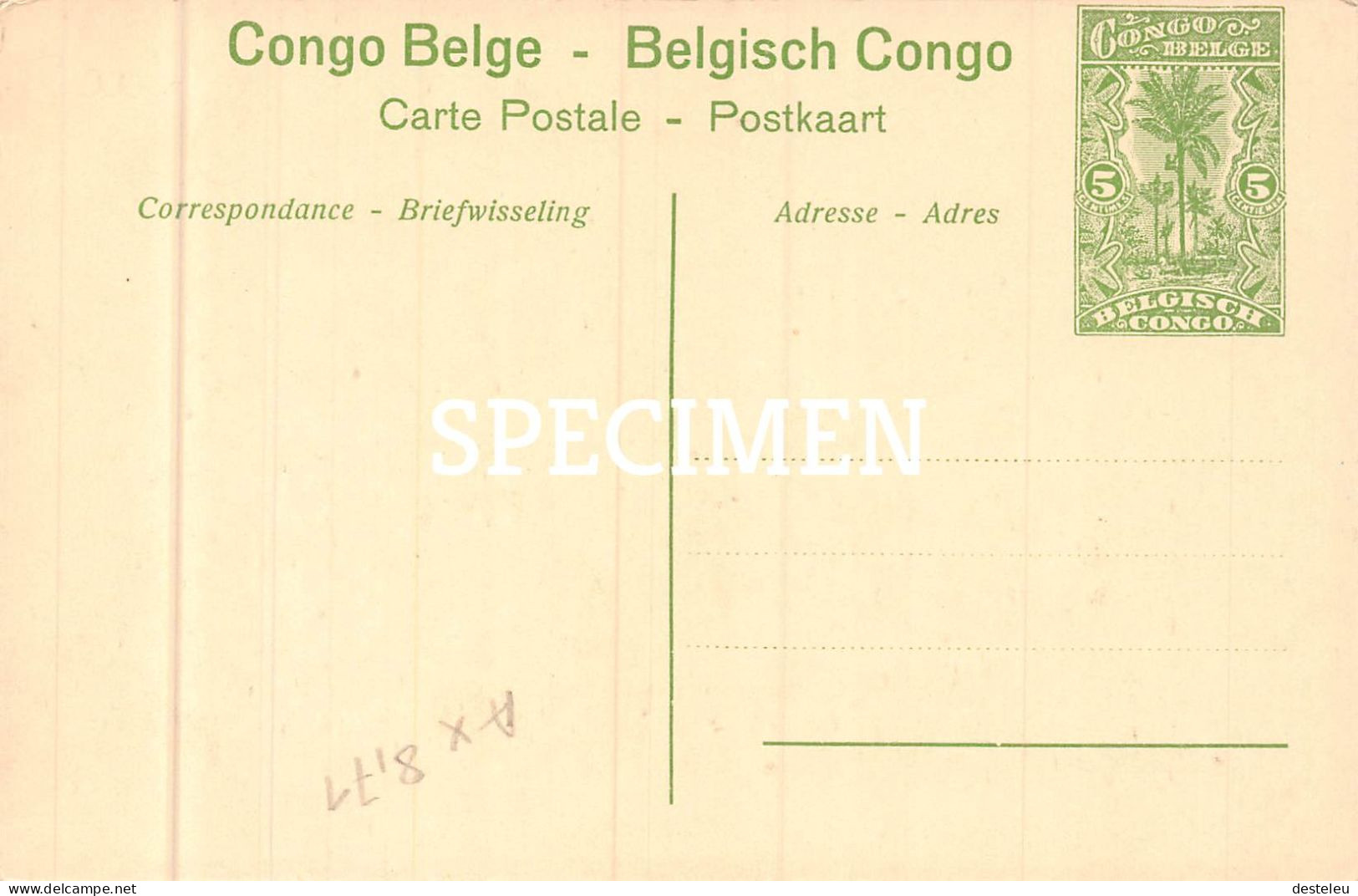 Eléphant -  Congo Belge - 5 Centimes Stamp - Autres & Non Classés