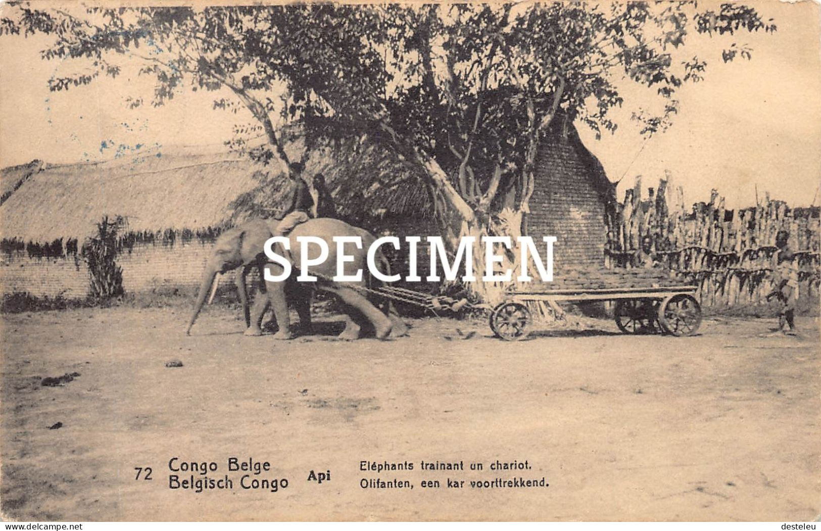 Api - Eléphants Trainant Un Chariot  -  Congo Belge - 5 Centimes Stamp - Autres & Non Classés