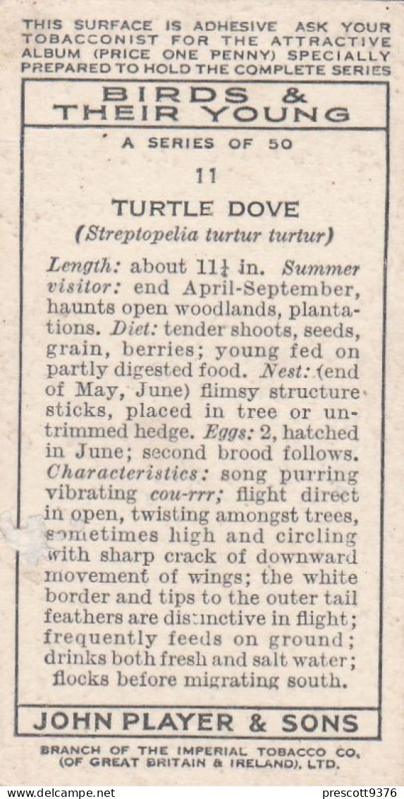 Birds & Their Young 1938,  Players Cigarette Card - 11 Female Turtle Dove - Player's