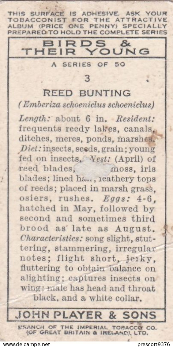 Birds & Their Young 1938,  Players Cigarette Card - 3 Female Reed Bunting - Player's