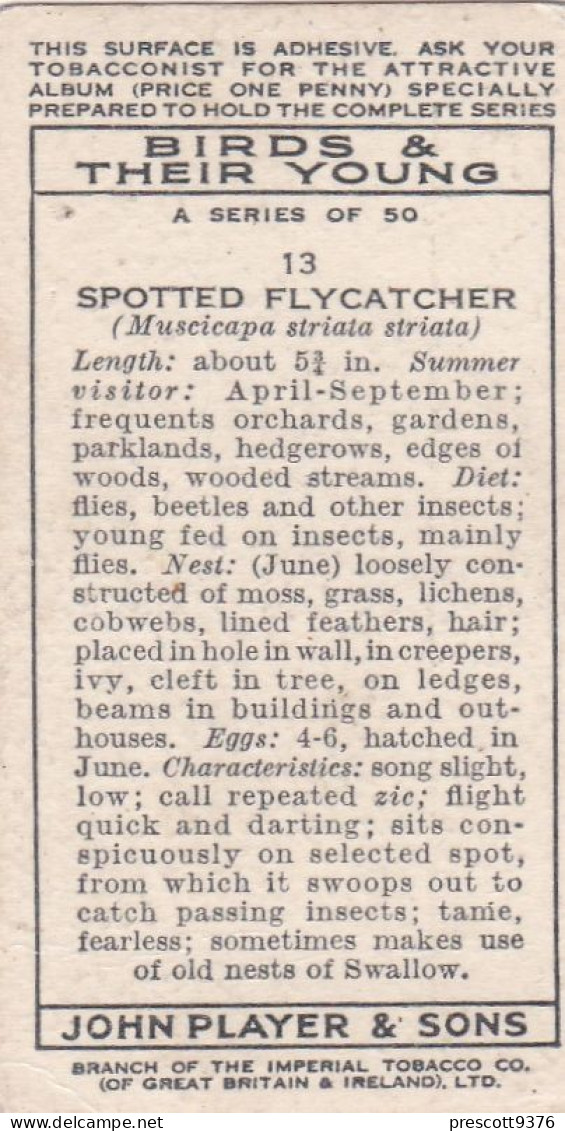 Birds & Their Young 1938,  Players Cigarette Card - 13 Female Spotted Fly Catcher - Player's