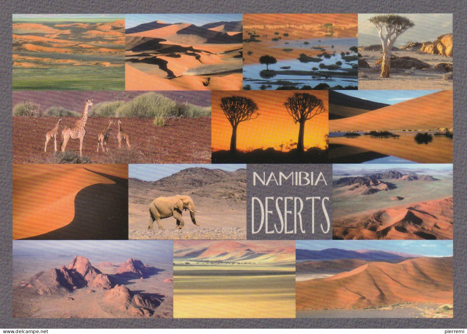 NAMIBIE..timbre Au Dos - Namibie