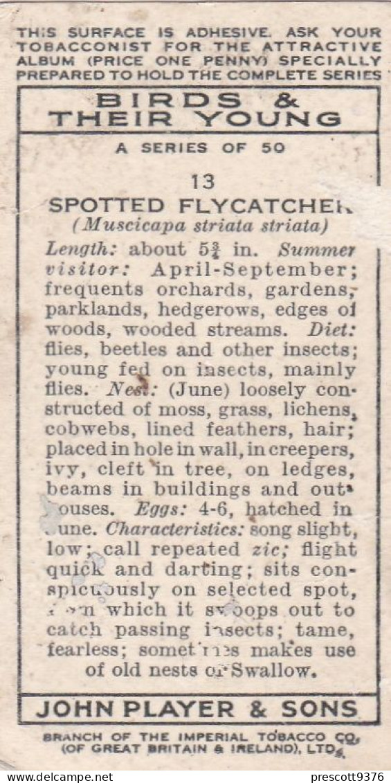 Birds & Their Young 1938,  Players Cigarette Card - 13 Spotted Flycatcher - Player's