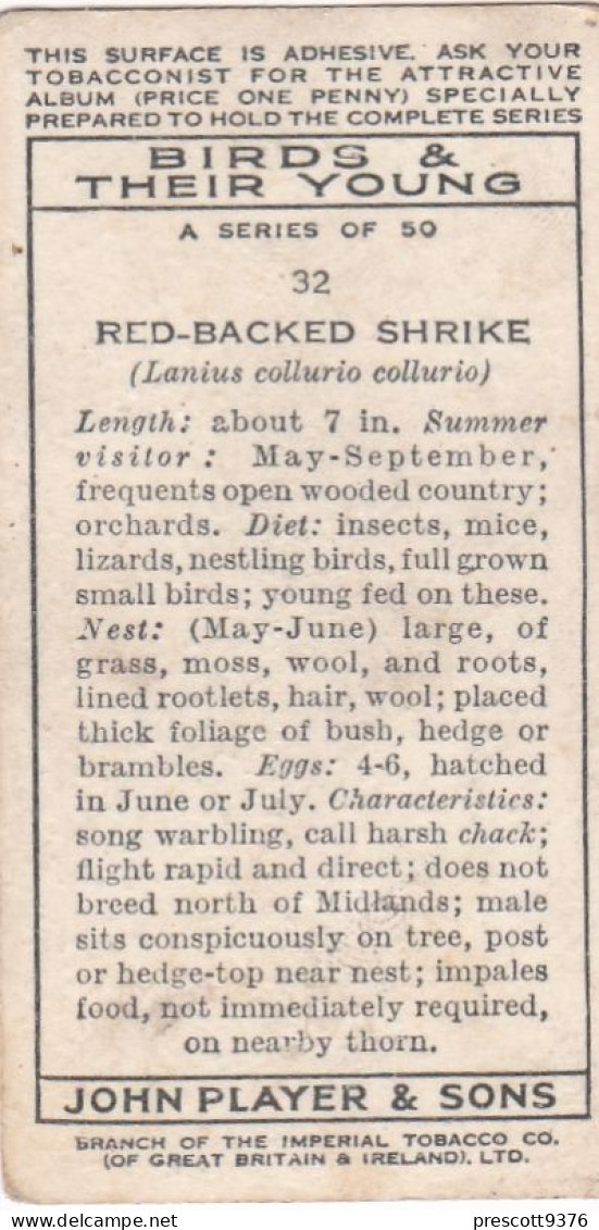 Birds & Their Young 1938,  Players Cigarette Card - 32 Red Backed Shrike - Player's