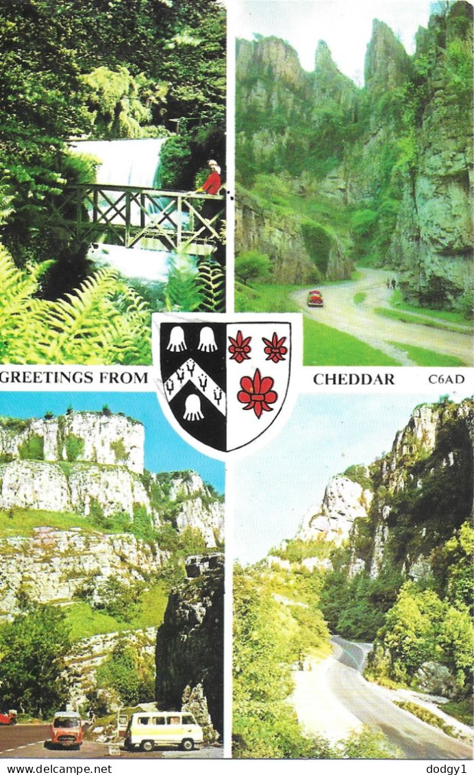 SCENES FROM CHEDDAR, SOMERSET, ENGLAND. UNUSED POSTCARD   Wp9 - Cheddar