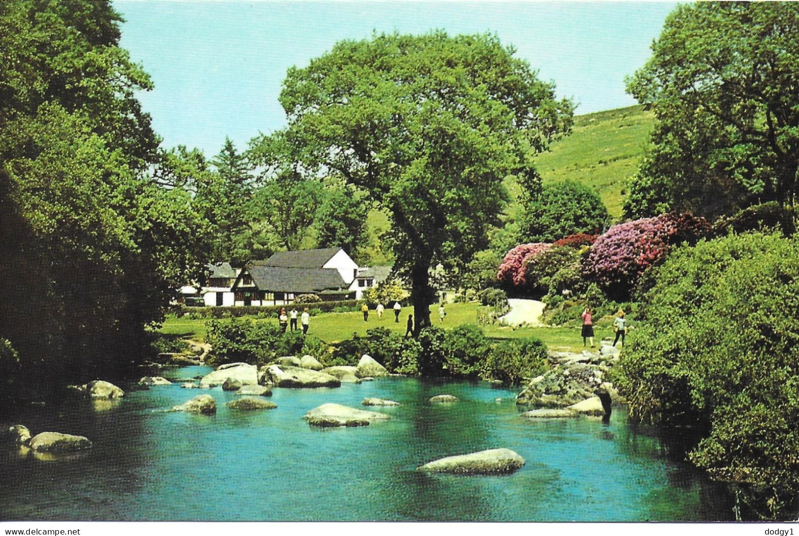 BADGERS HOLT, DARTMEET, DARTMOOR, DEVON, ENGLAND. UNUSED POSTCARD   Wp9 - Dartmoor