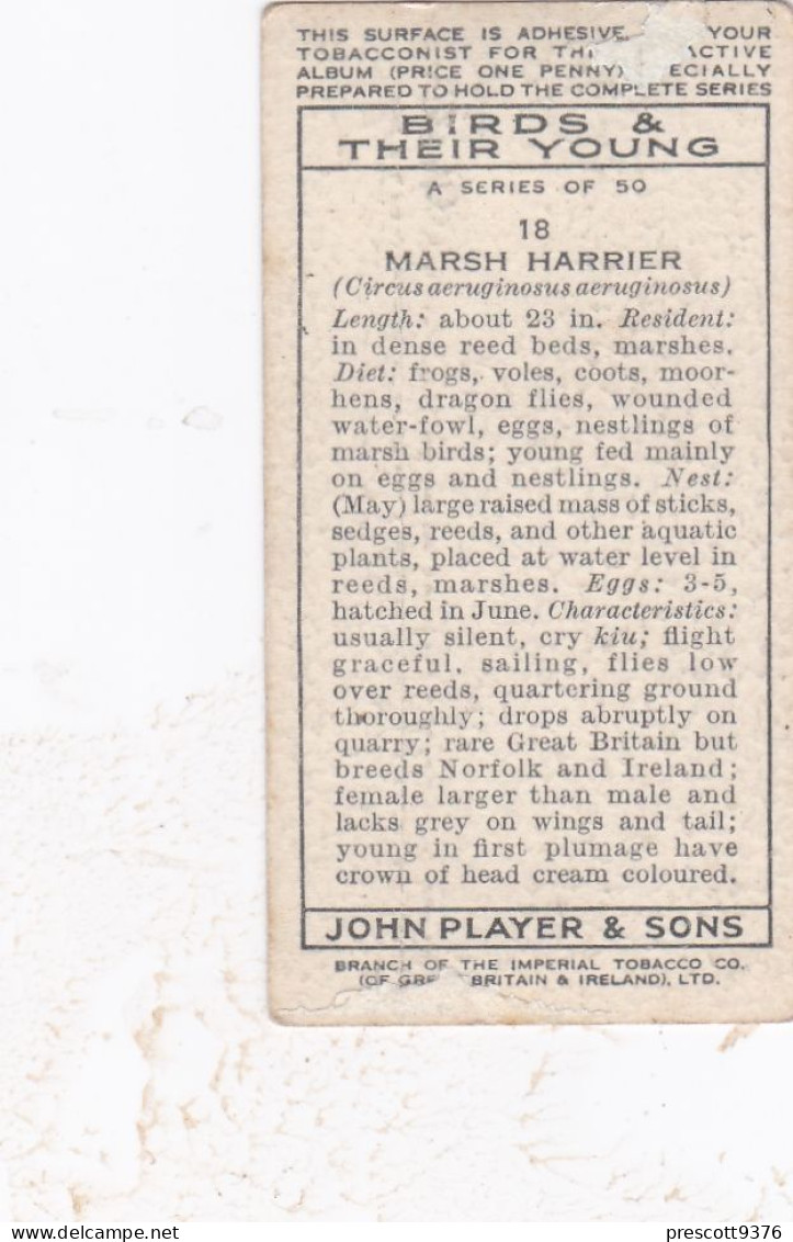 Birds & Their Young 1938,  Players Cigarette Card - 18 Marsh Harrier - Player's