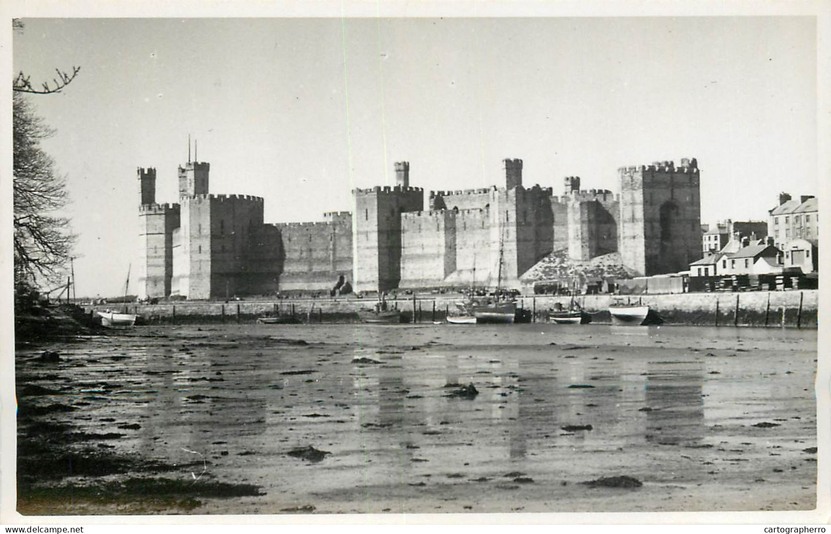 Wales Caernarvon Castle Photo - Caernarvonshire