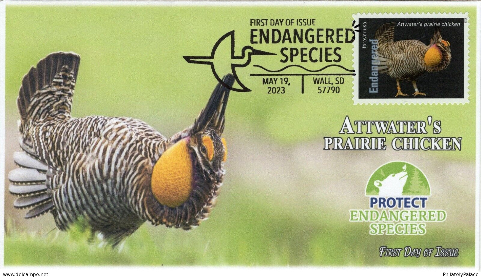 USA 2023 Attwater's Prairie Chiken, Endangered Species, Bird,Pictorial Postmark, FDC Cover (**) - Storia Postale