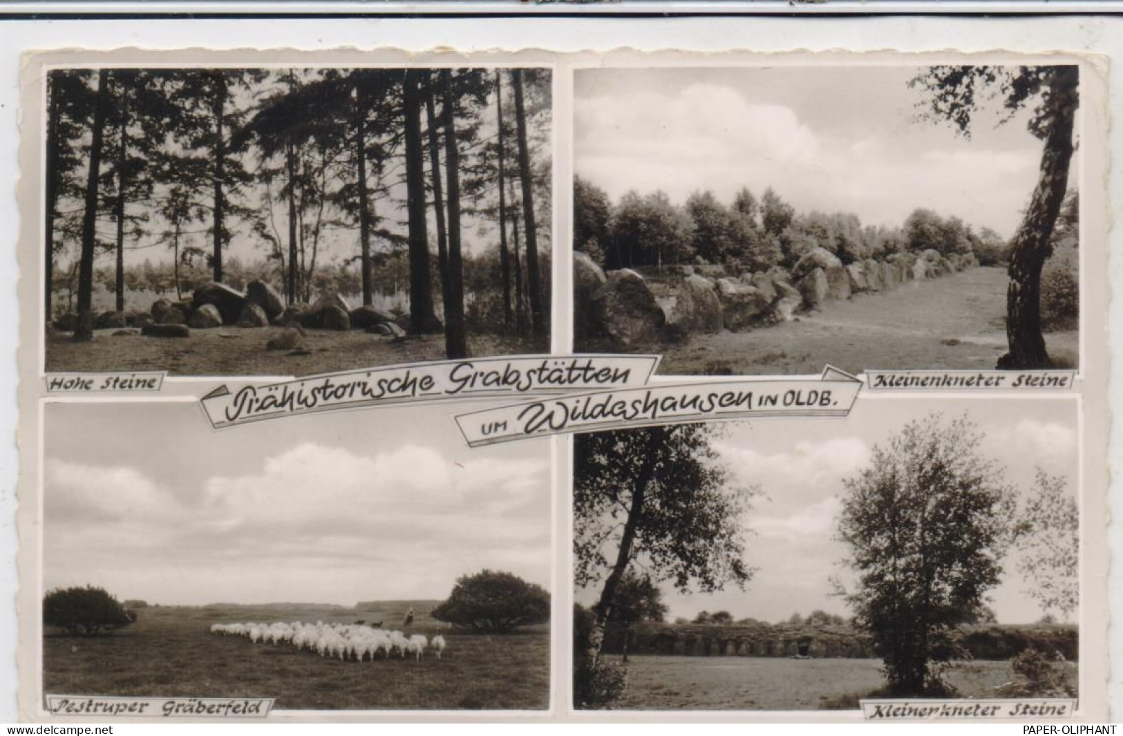 HÜNENGRAB / DOLMEN / MENHIR, Wildeshausen, Sieben Steine / Kleinknetener Steine / Pestruper Gräberfeld - Dolmen & Menhirs