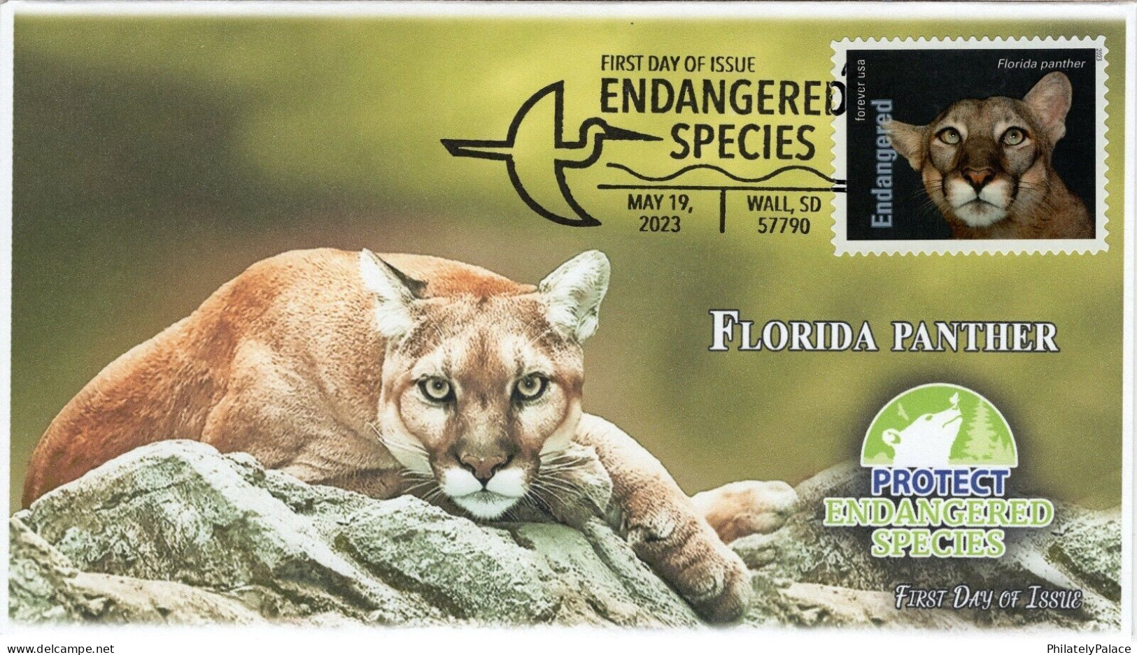 USA 2023 Florida Panther, Endangered Species, Animal, Tiger Family ,Pictorial Postmark, FDC Cover (**) - Cartas & Documentos