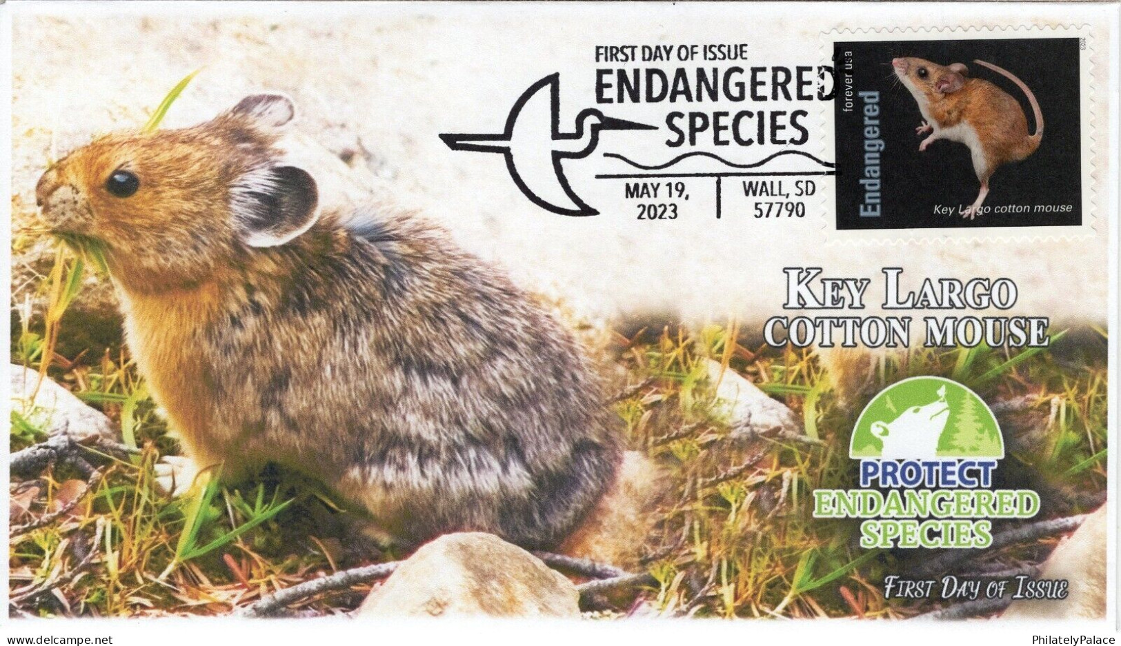 USA 2023 Key Largo Cotton Mouse, Endangered Species, Animal, Rodent ,Pictorial Postmark, FDC Cover (**) - Covers & Documents