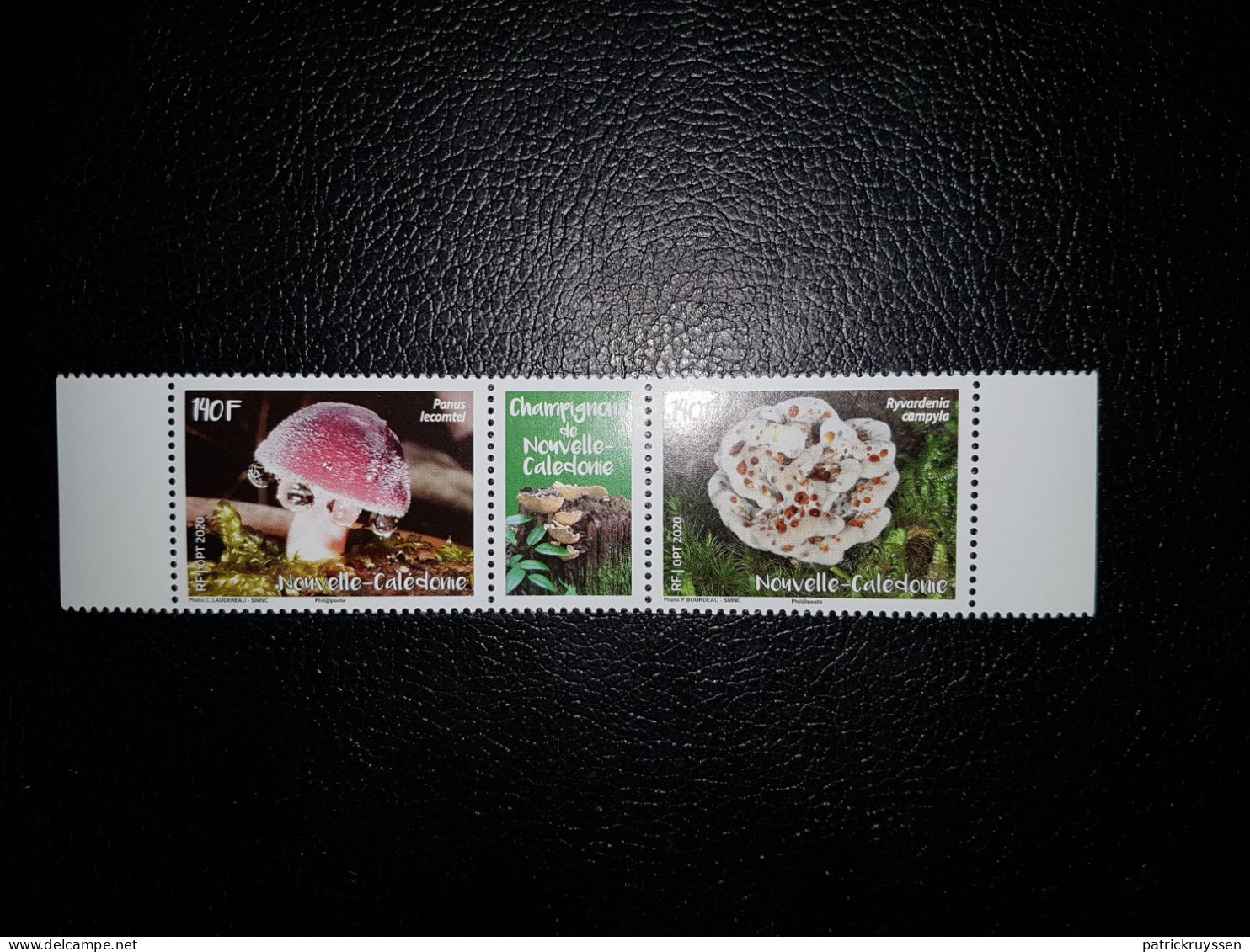 Caledonia 2020 Caledonie Mushroom PANUS Champignon Pilz Fungi 2v +label Mnh - Ungebraucht