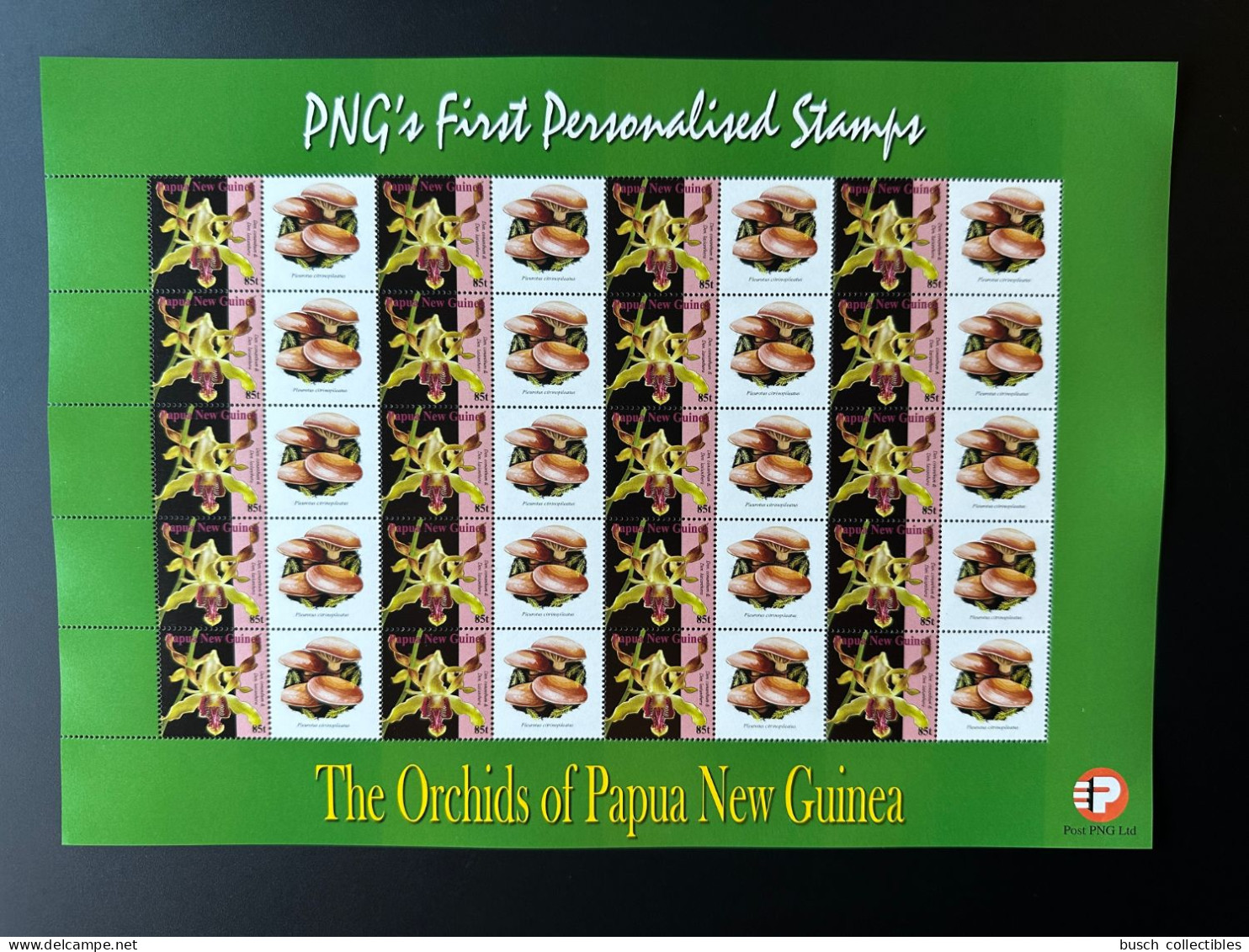 Papua New Guinea PNG 2007 Mi. 1244 Personalized Champignons Funghi Mushrooms Pilze Orchids Flowers - Papouasie-Nouvelle-Guinée