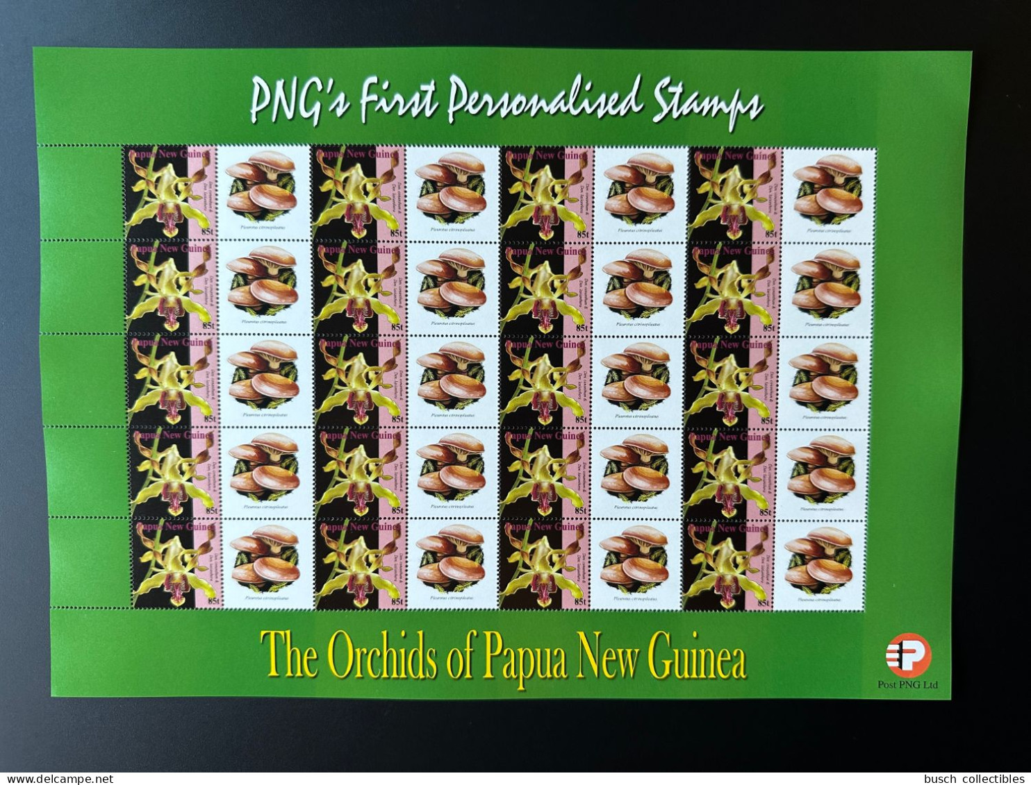 Papua New Guinea PNG 2007 Mi. 1244 Personalized Champignons Funghi Mushrooms Pilze Orchids Flowers - Funghi