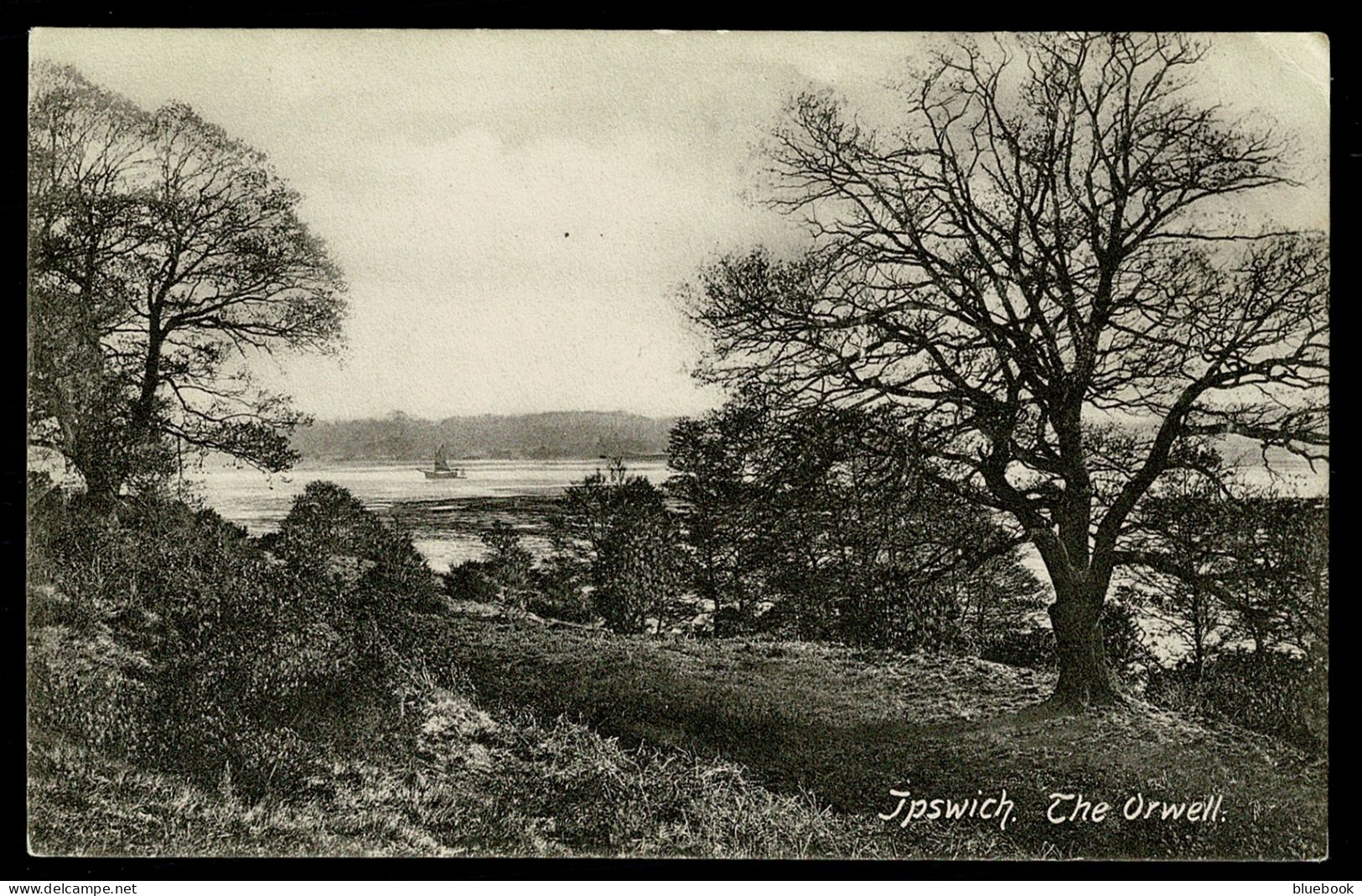 Ref 1625 - Early Postcard - The Orwell Ipswich - Suffolk - Ipswich