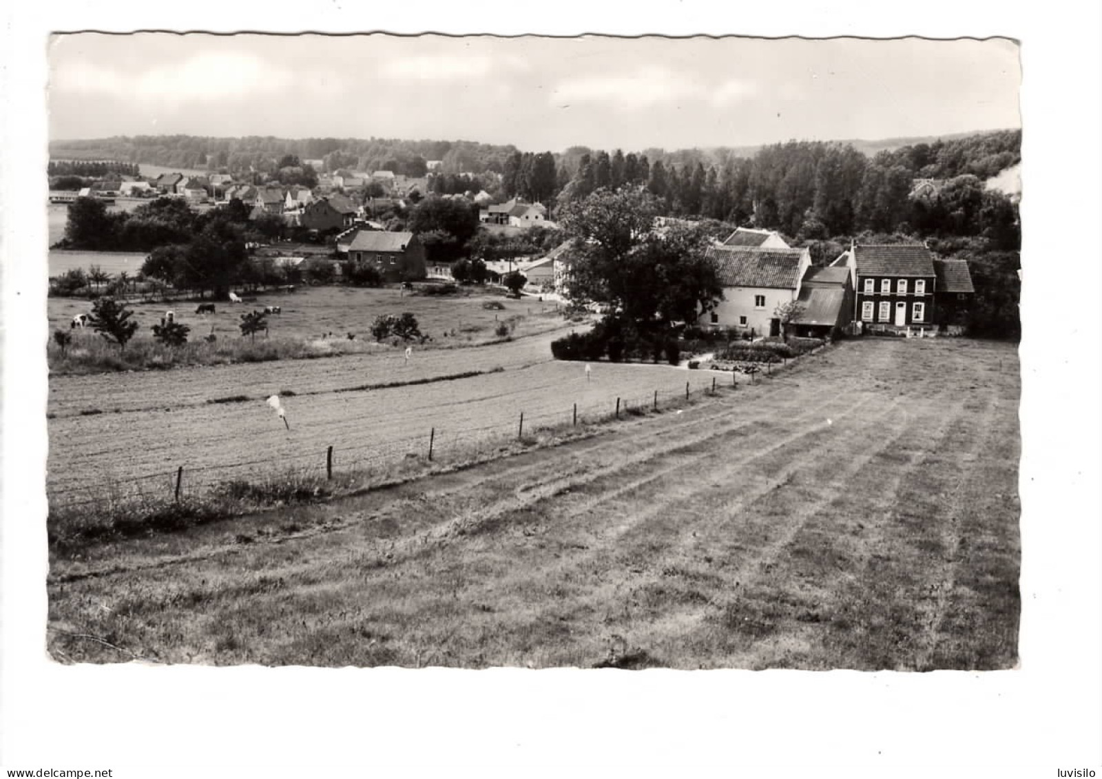 Nethen Beau Panorama - Graven