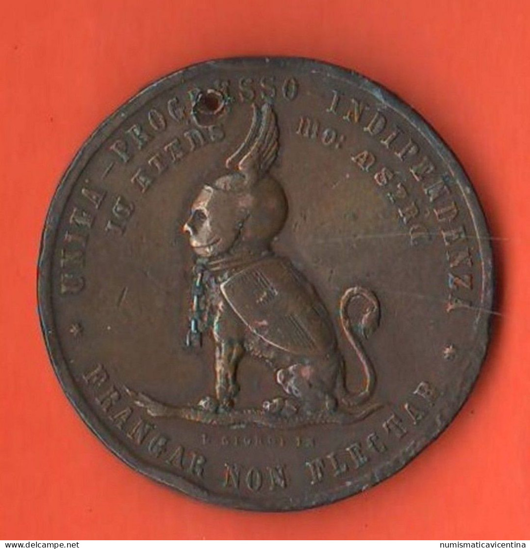 Italia Medaglia Risorgimento Ai Collaboratori E Veterani Ex Granducato Di Toscana 1884 Risorgimentali Copper Medal - Italy