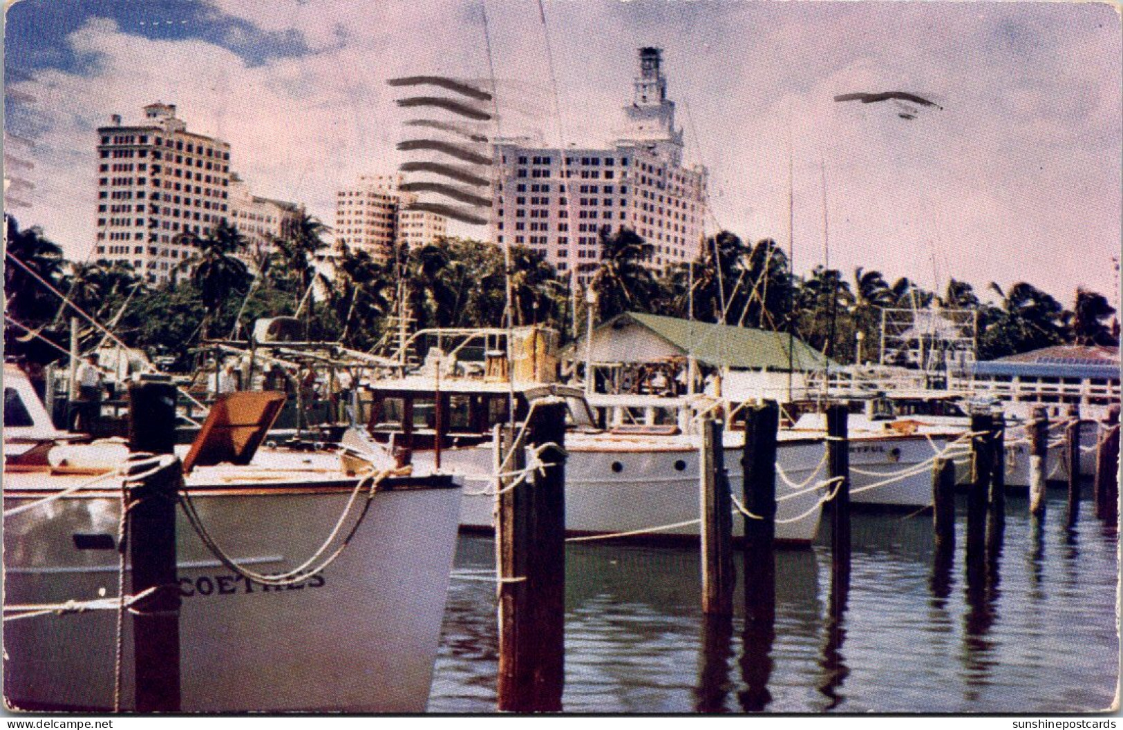 Florida Miami Charter Fishing Boats In Miami Yacht Basin 1949 - Miami