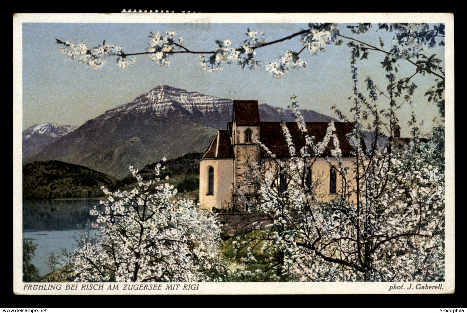Frühling Bei Risch Am Zugersee Mit Rigi - Risch-Rotkreuz