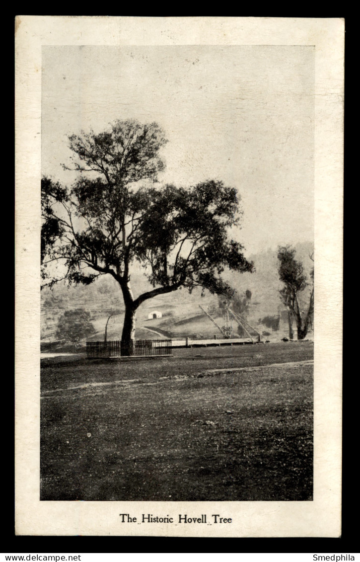 Albury - Hovell Tree - Albury