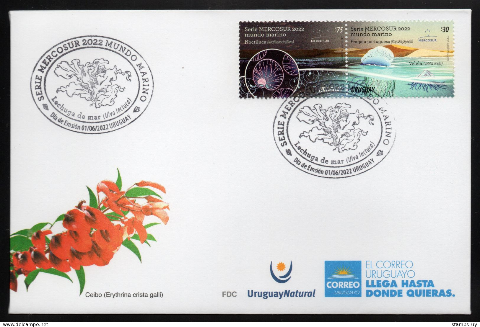 URUGUAY 2022 (Joint Issue, Animals, Protists, Plants, Noctiluca Scintillans, Physalia, Velella, Ulva Lactuca) - 1 FDC - Geneeskrachtige Planten