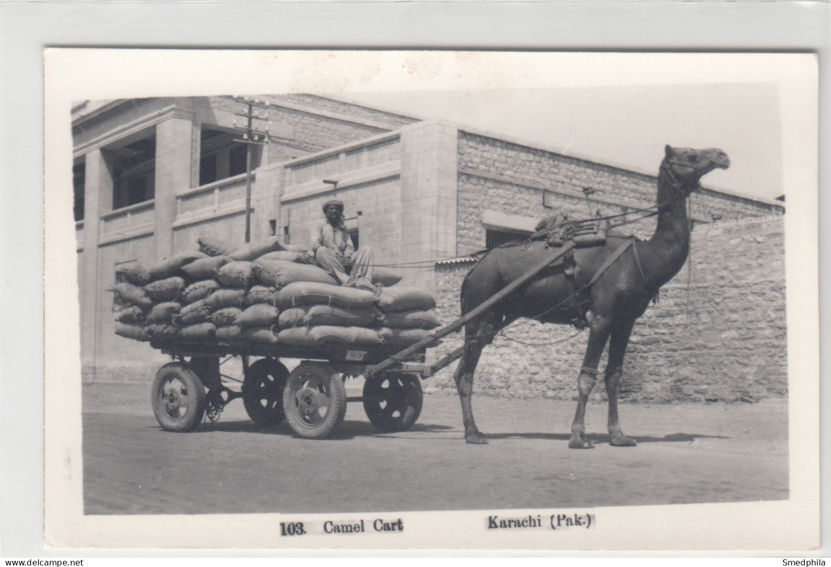 Karachi - Camel Cart - Pakistan