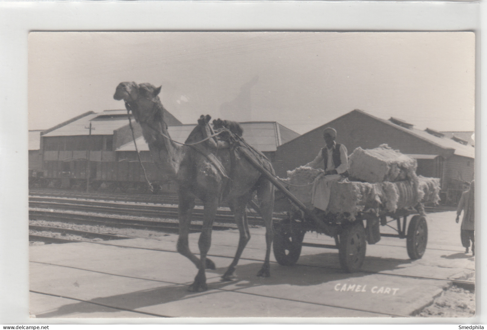 Karachi - Camel Cart And Railroad In The Background - Pakistan