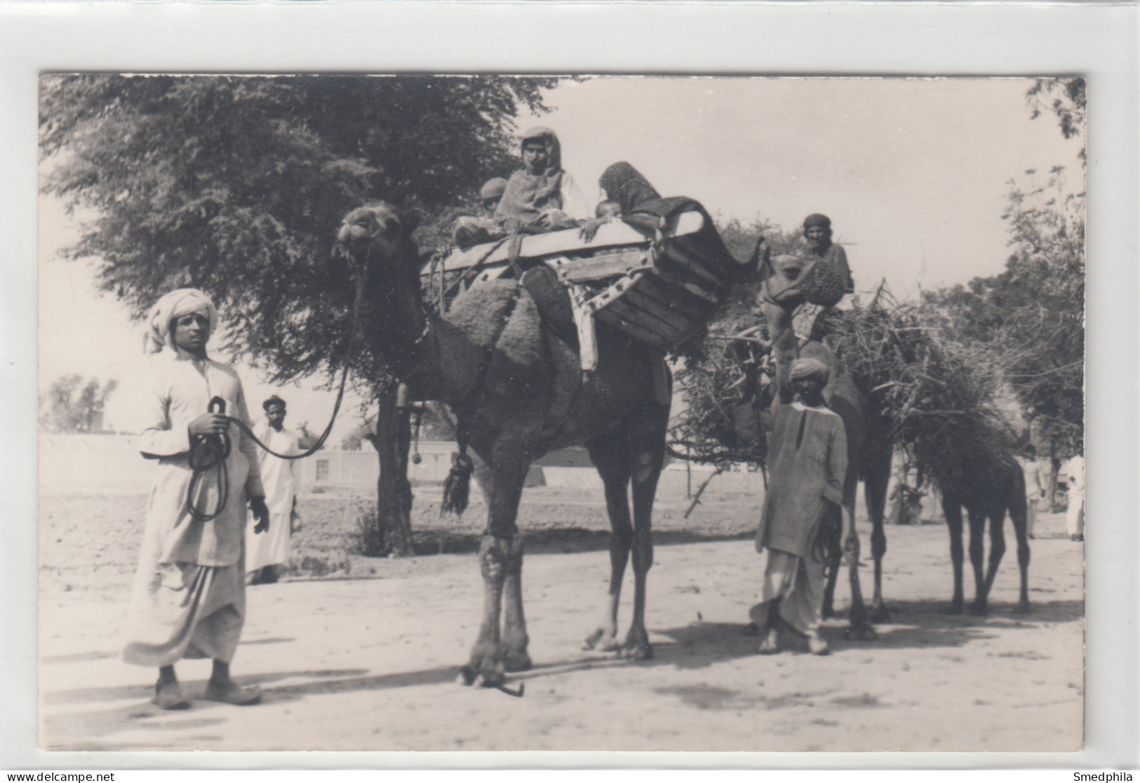 Pakistan? India? - Camels With People - Pakistan