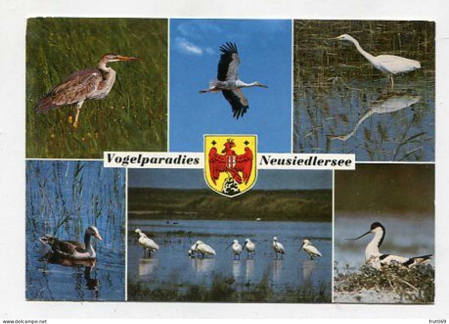 AK 154827 AUSTRIA - Vogelparadies Neusiedlersee - Neusiedlerseeorte