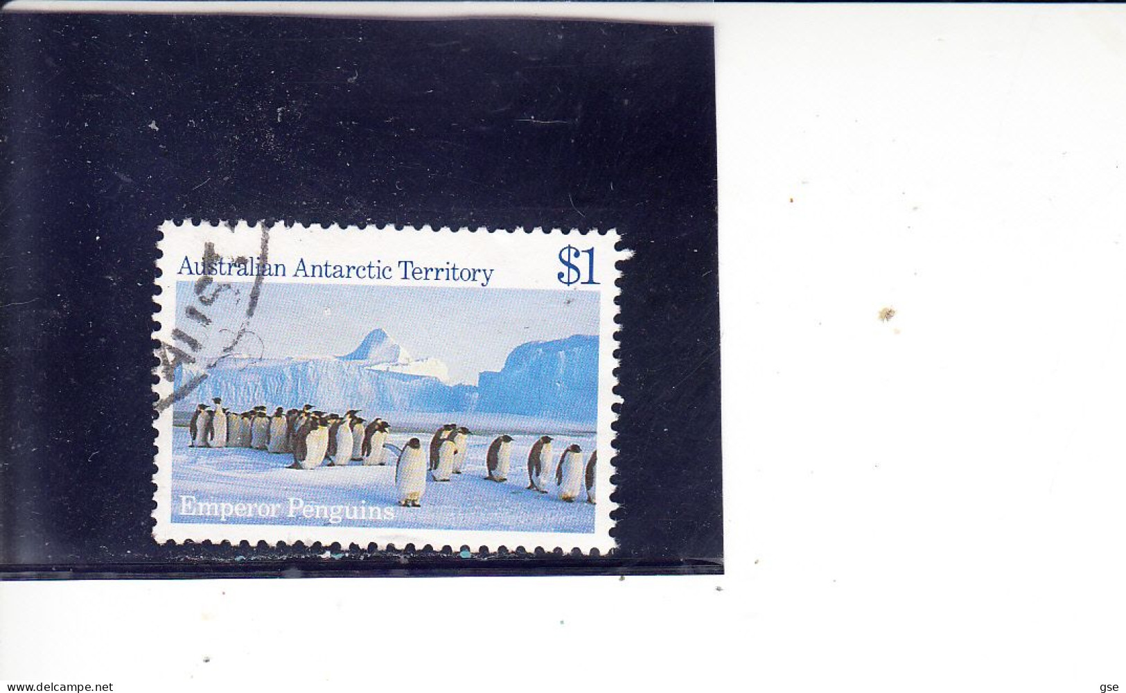 ANTARTICO TERRITORIO AUSTRALIANO  1985 - Yvert  72° - Pinguini - Gebruikt