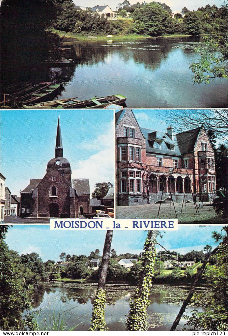 44 - Moisdon La Rivière - Multivues - Moisdon La Riviere