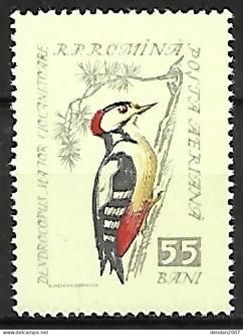 Rumania - MNH ** 1959 :   Great Spotted Woodpecker  -  Dendrocopos Major - Piciformes (pájaros Carpinteros)