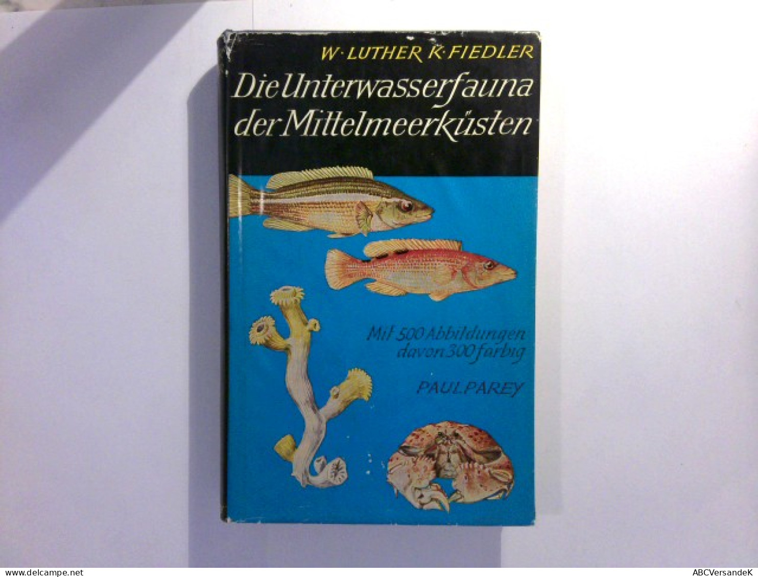 Die Unterwasserfauna Der Mittelmeerküsten - Ein Taschenbuch Für Biologen Und Naturfreunde - Animales