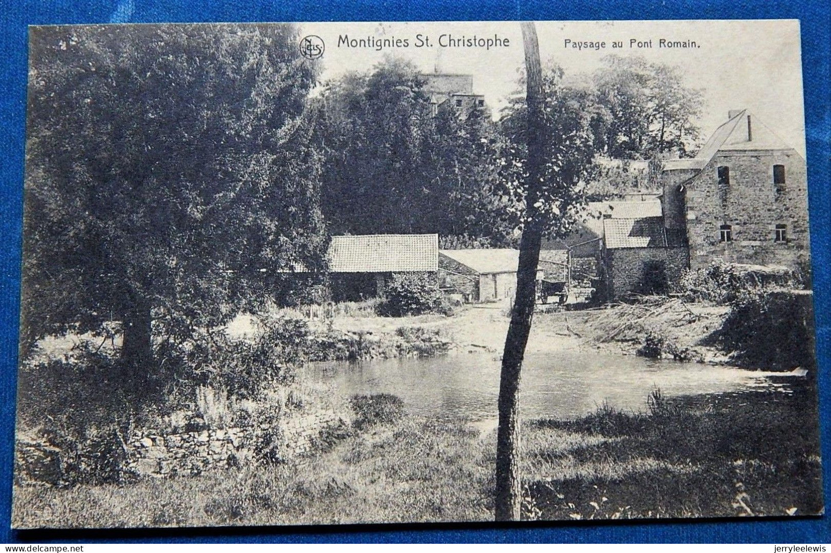 MONTIGNIES St CHRISTOPHE  -  Paysage Au Pont Romain - Erquelinnes