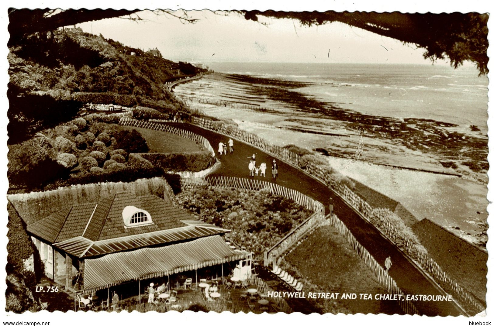 Ref 1626 - 1959 Real Photo Postcard - Holywell Retreat & Tea Chalet - Eastbourne Sussex - Eastbourne