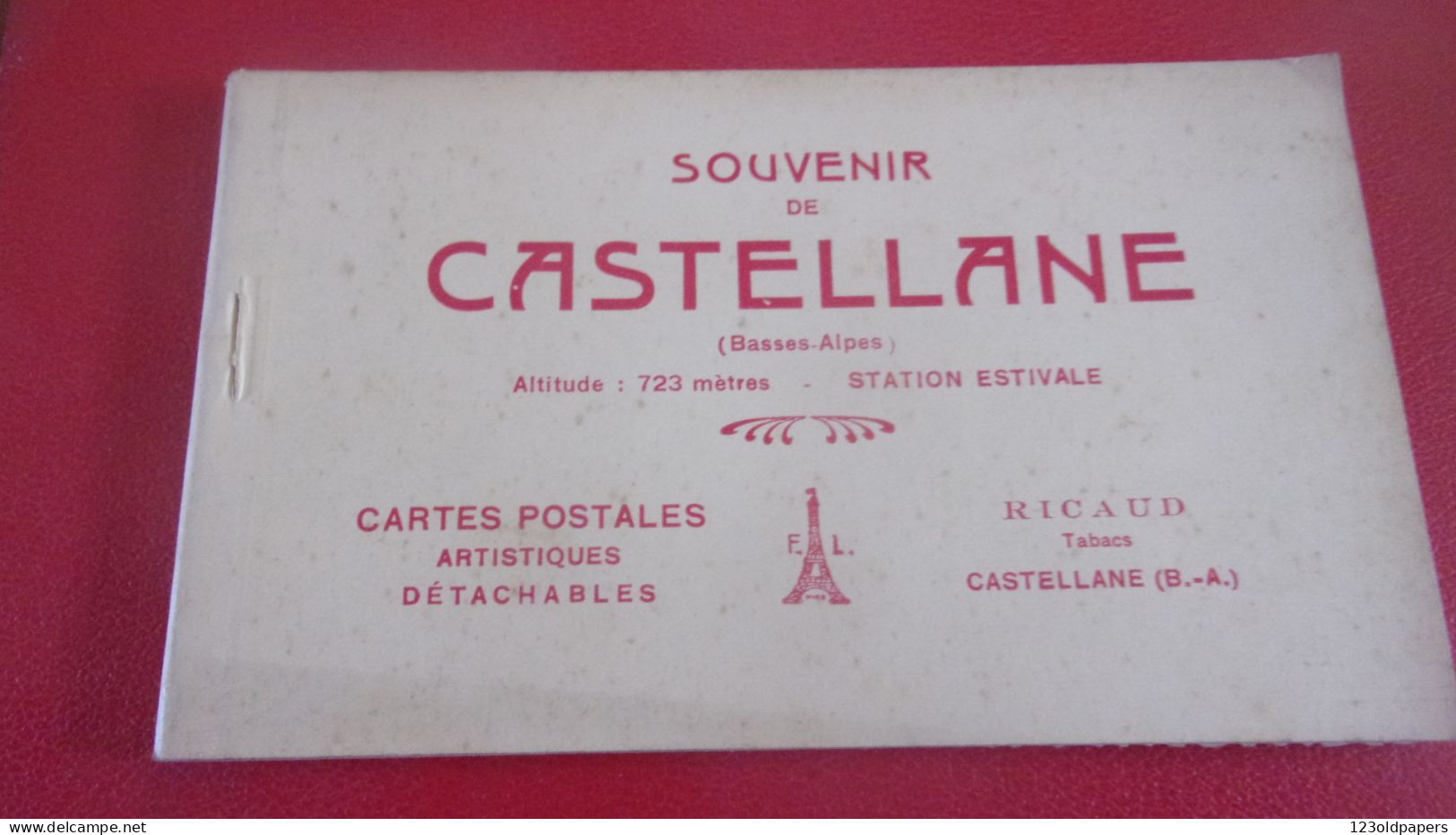 04 CASTELLANE CARNET COMPLET 10 CP EDIT  RICAUD TABACS CASTELLANE - Castellane