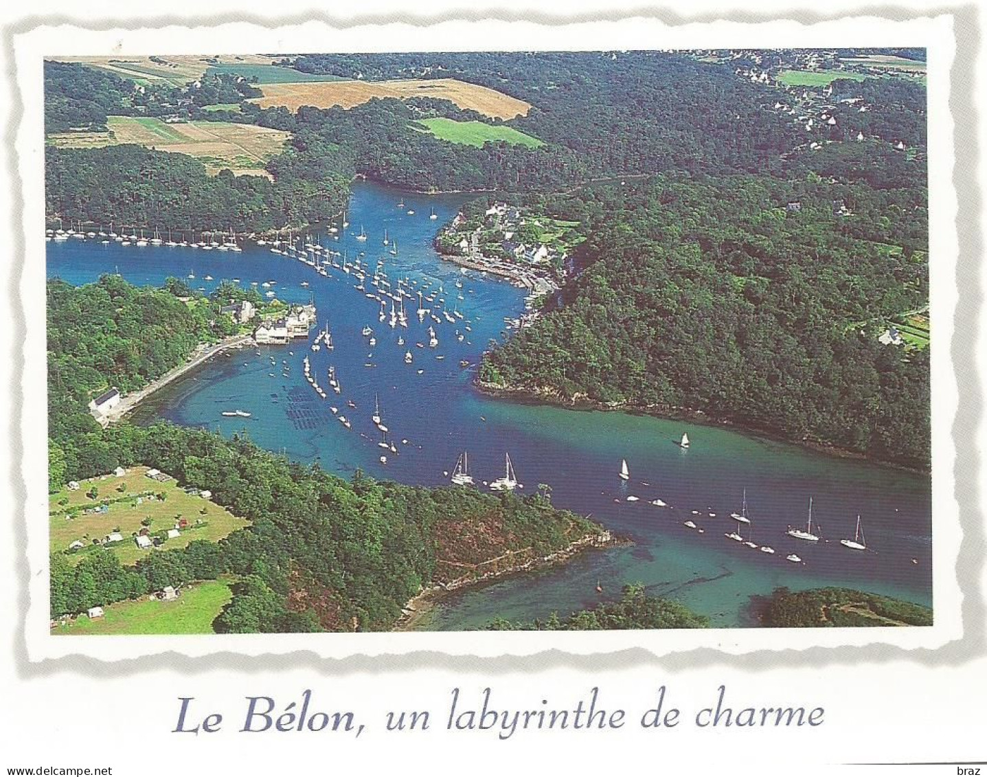 CPM   Le Belon Riec Sur Belon Moelan Sur Mer - Moëlan-sur-Mer