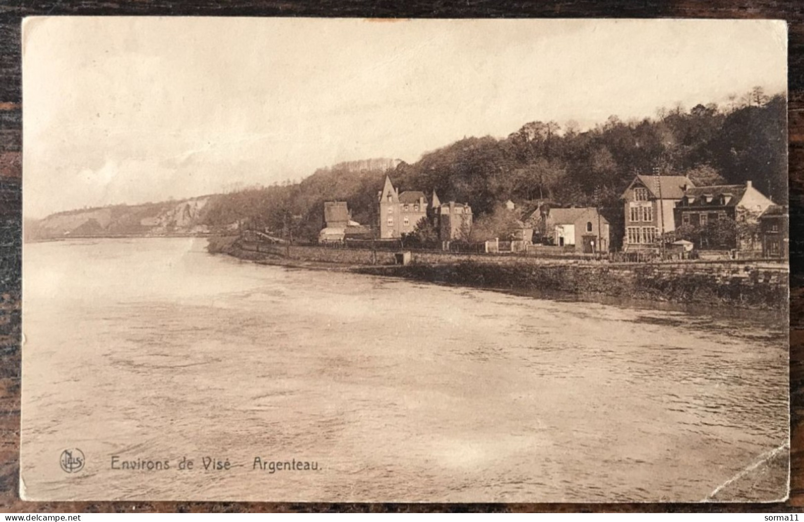 CPSM Environs De VISE (Belgique) ARGENTEAU - Wezet