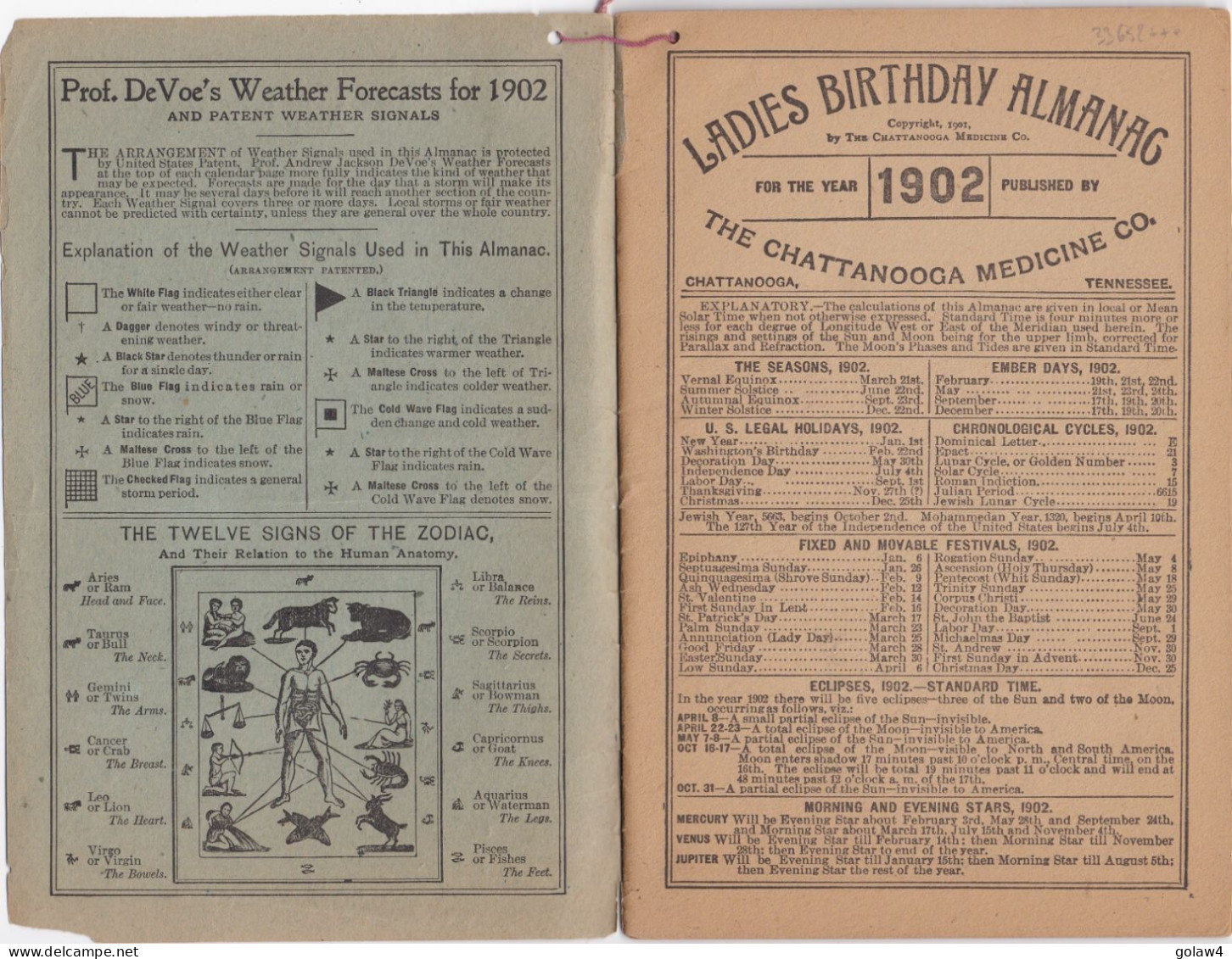 33652# USA LADIES BIRTHDAY ALMANAC 1902 THEDFORD'S BLACK DRAUGHT WINE CARDUI DRUGS MEDICINES CHEMICALS ALMANACH - Femminili