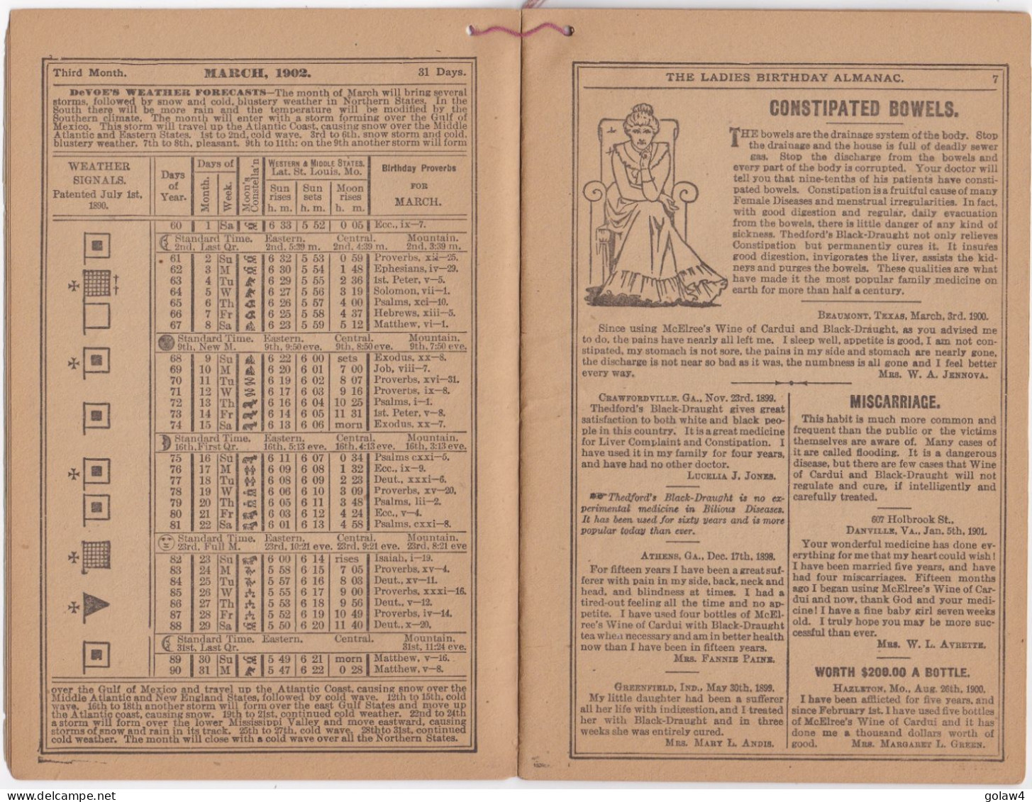 33652# USA LADIES BIRTHDAY ALMANAC 1902 THEDFORD'S BLACK DRAUGHT WINE CARDUI DRUGS MEDICINES CHEMICALS ALMANACH - Frauen