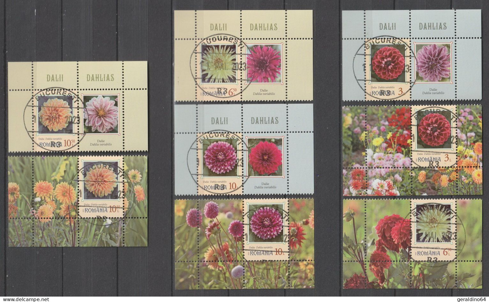 Rumänien 2022 Blumen Dahlien Gestempelt Used With Tabs - Used Stamps