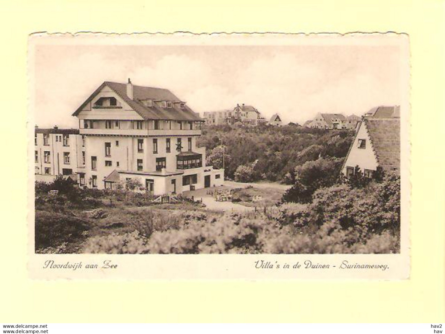 Noordwijk Surinameweg, Villa's  RY29702 - Noordwijk (aan Zee)