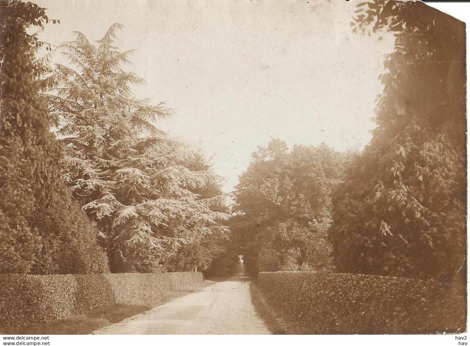 Putten Originele Foto Garderenscheweg Ceder KE1486 - Putten