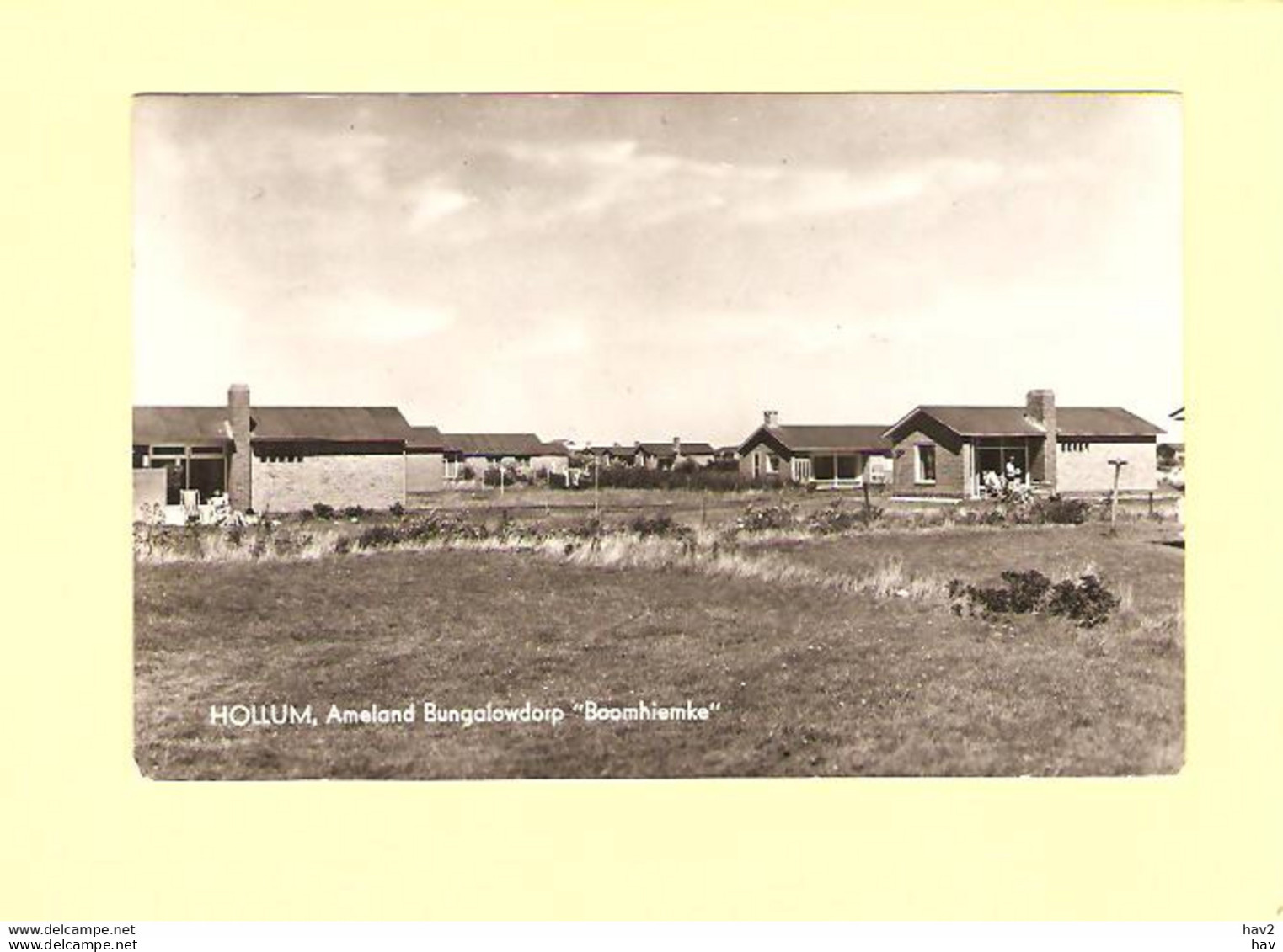 Ameland Hollum Bungalowdorp Boomhiemke RY29399 - Ameland