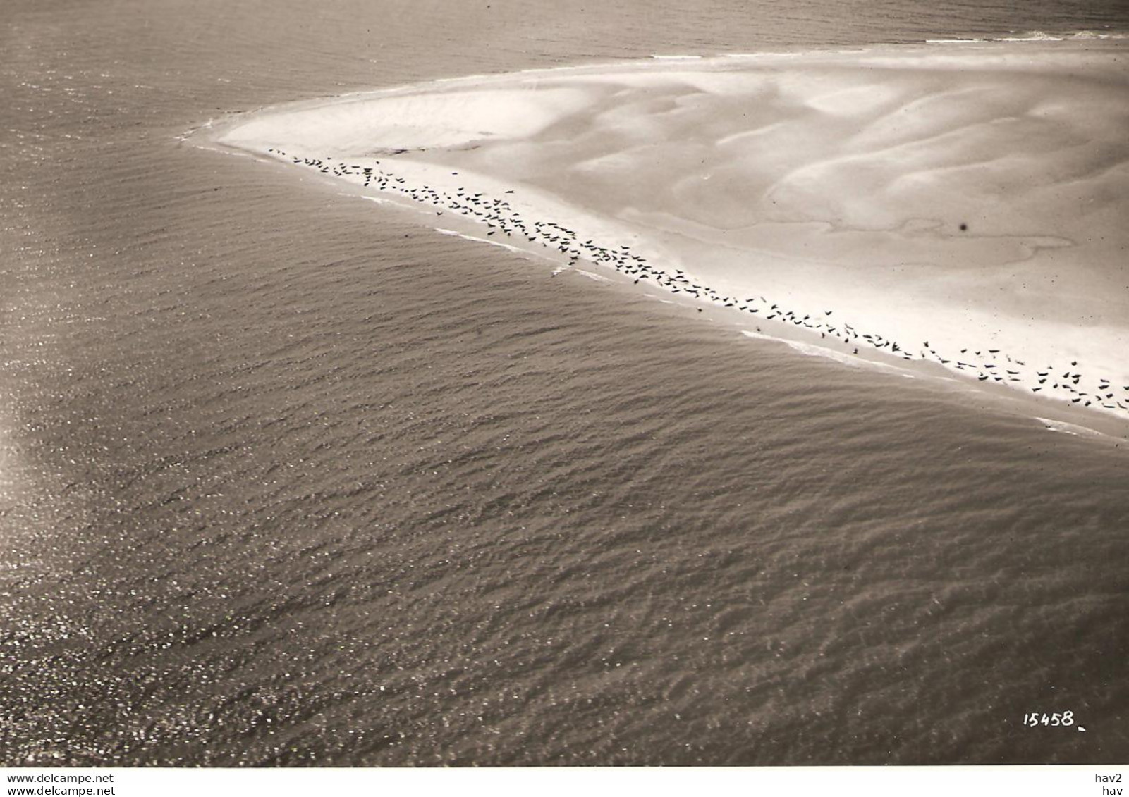 Waddenzee, Zeehonden Luchtfoto RA5196 - Other & Unclassified