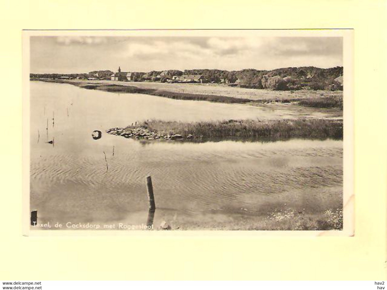 Texel De Cocksdorp Met Roggesloot RY30202 - Texel