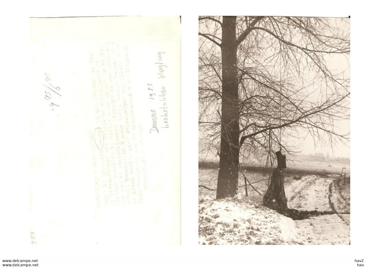 Deurne Persfoto Ongeluk Straaljager 1955 KE1788 - Deurne