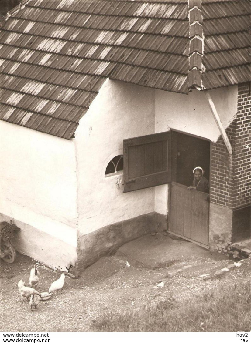 Eijsden Persfoto Boerderij Langs Maas 1934 KE1745 - Eijsden