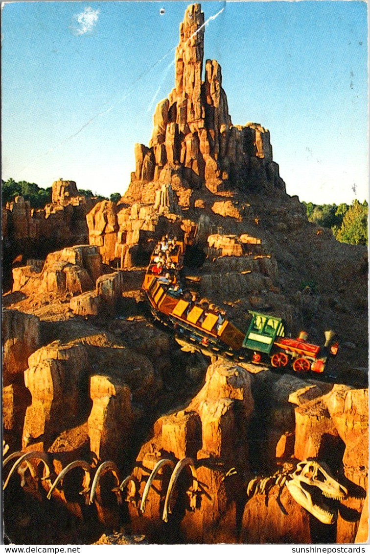 Florida Orlando Walt Disney World Big Thunder Mountain Railroad 1985 - Orlando